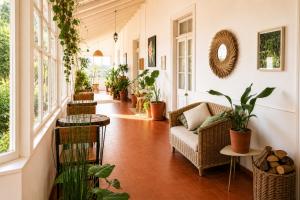 Silvestre Hostel