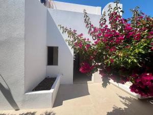 Bluewaves Antiparos Sunstone Terrace House
