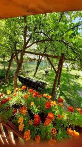 Лозованя