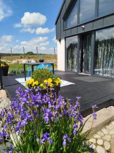 Domek letniskowy - Leśna chmurka - sauna, bania