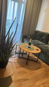Apartament RADOSNY