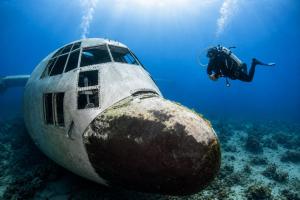 Dive Center