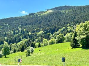 Apartament Czarna Góra Bormio 16