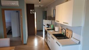 Spacious modern apartment