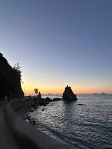 Il Delfino Apartment