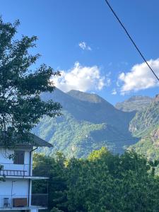 Il Cantuccio nel bosco