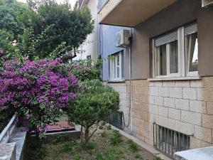 Apartment Ana