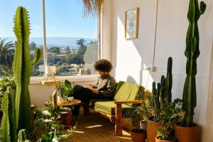 Silvestre Hostel