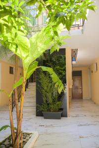 Noa Hotel Velipoje