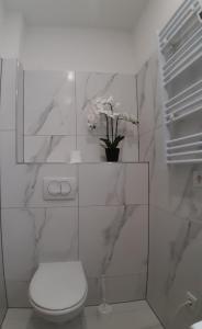 Apartmens Tea i Tamara