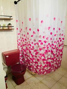 Casa céntrica en Paraíso Amplia y cómoda