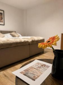 Apartamenty Szaława II