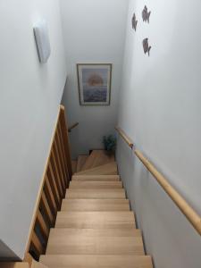 Szent Mihály Domb Apartman