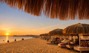 Princess resort luxury apartment G05
