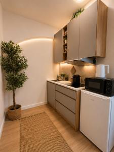 2 Apt with Terrace and Fireplaces