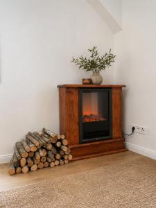 2 Apt with Terrace and Fireplaces