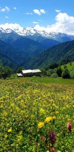 Heshklar guest house