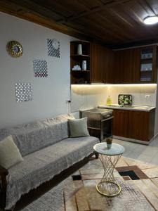 Aldo House