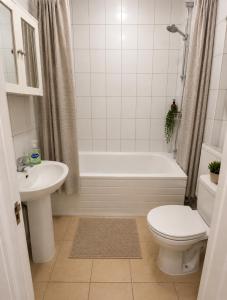 Modern 2 Bedroom, 2 Bathroom Apartment in Canary Wharf Fast WiFi