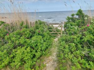 4 star holiday home in Frederikshavn