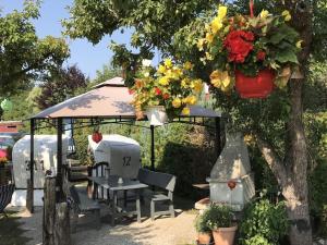 Darss - Baltic Sea - Holiday apartment in Wieck