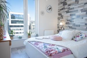 Apartament AquaTower Oliwia & Laura REKIN