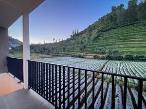 Singgah Sejenak Dieng
