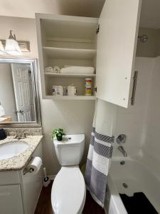 Elegant 1BR with Pool View in Prime Dallas