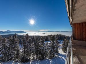 Appart'hotels Residence l'Ecrin des Neiges : photos des chambres