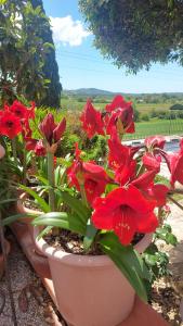 Agriturismo Mezzo Poggio Suvereto