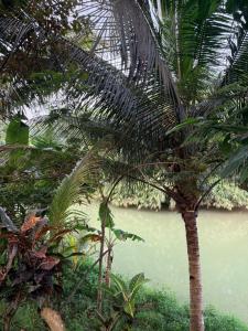 The Haven Riverside Villa Pangandaran