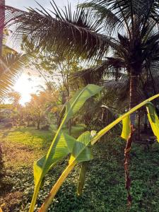 The Haven Riverside Villa Pangandaran