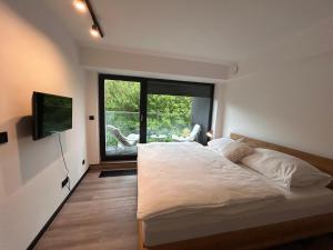Apartmán podlesí