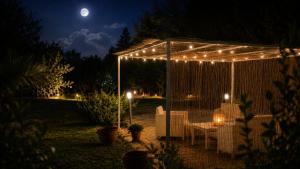 Boat dreams , garden relax