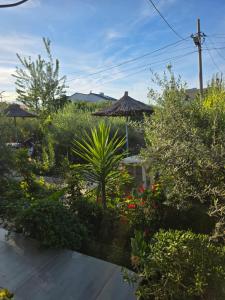 Rey Garden 2