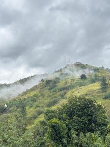 Ella Heaven View