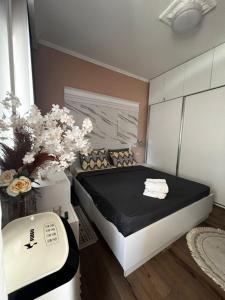 Cozy Home