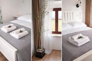 Ressel Rooms B&B Motovun near Parenzana