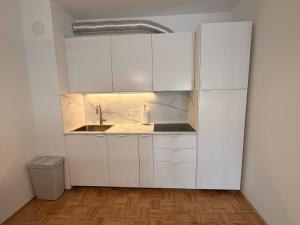 Apartment in the center of Bohinjska Bistrica N1-4