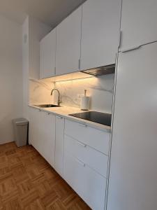 Apartment in the center of Bohinjska Bistrica N1-4