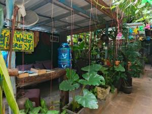 Green Stay Village