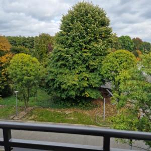 Fiore Wellness Apartman