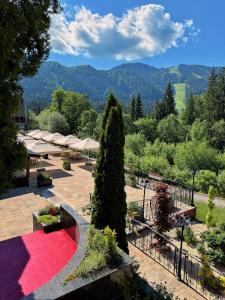 Hotel Piatra Mare