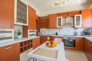 Vasiliki Island view house