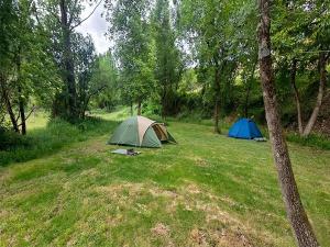 Camping Pirineos Jacetania 3000