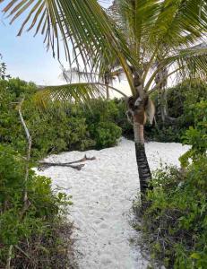 Baraka House, Beautiful Watamu beachfront location