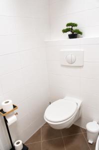 Honey Apartment