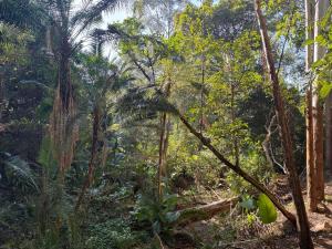 Kholiwe 1 - 4 sleeper glamping in a forest