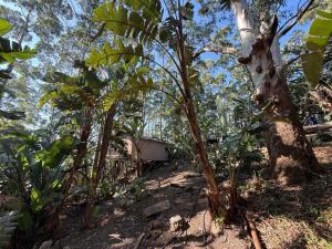 Kholiwe 1 - 4 sleeper glamping in a forest