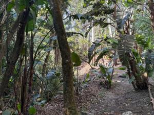 Kholiwe 1 - 4 sleeper glamping in a forest